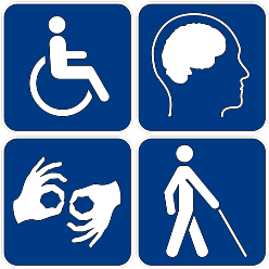 Bilderesultat for funksjonshemninger